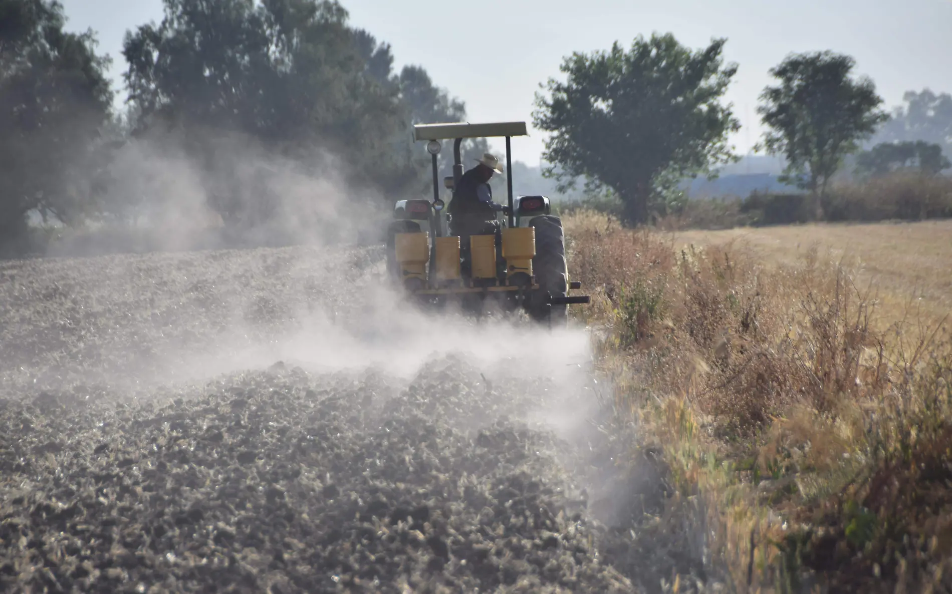 F CARMONA AGRO(RURAL) (11)